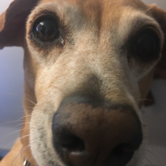 Meet your Posher, Rakesha - Picture 1 of 1